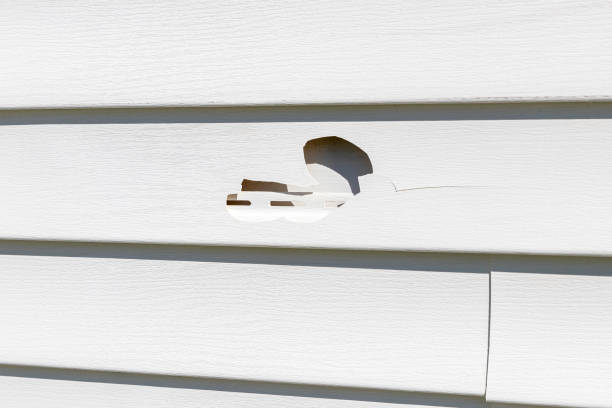 Best Construction Debris Removal  in Spring City, UT